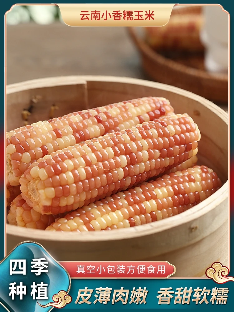 云南西双版纳香糯小玉米早餐代餐新鲜花糯玉米真空包装开袋即食