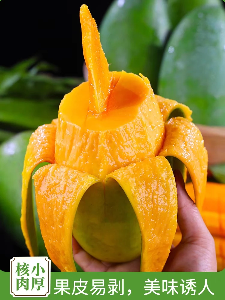 广西金煌芒甜心芒水仙芒大青芒核薄肉多芒果当季新鲜3/5/9斤水果
