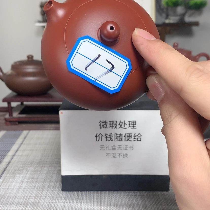 【闪购商品】紫砂茶壶耳****3