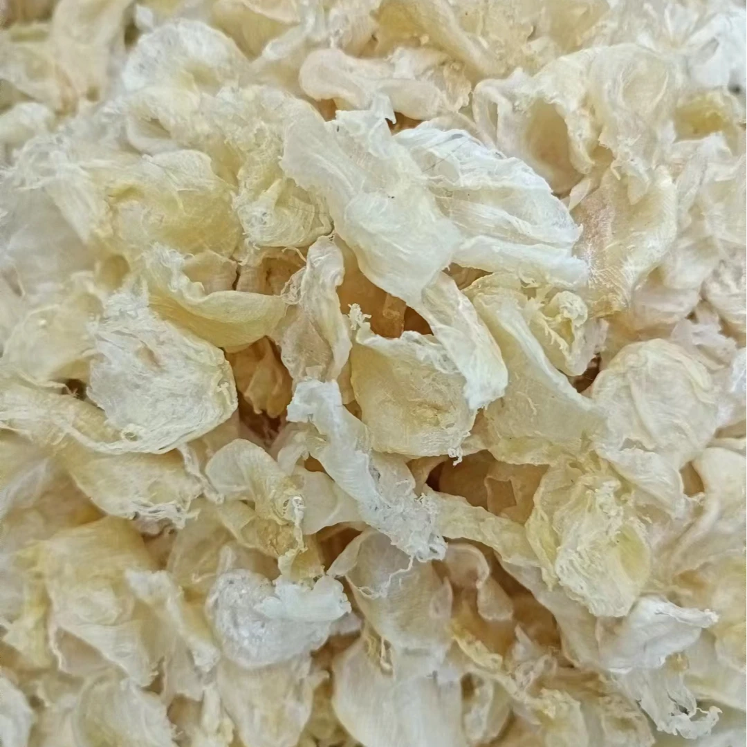 广东汕头+碎胶花胶断块鱼胶干货代拍链接-500G