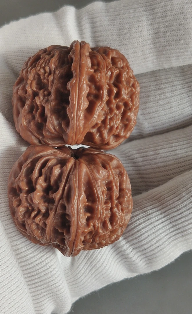 核桃白师子尺寸363738手工打好底全部精挑精配原生态无科技福利价