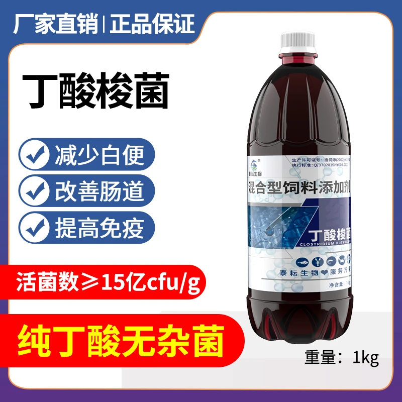 丁酸梭菌水产养殖专用改善肠道预防肠炎白便空肠空胃em菌种鱼药