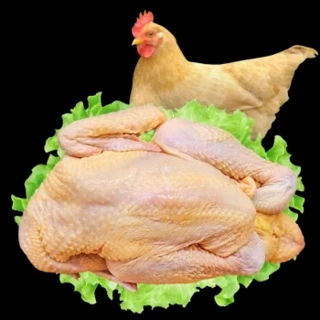 三黄鸡500g