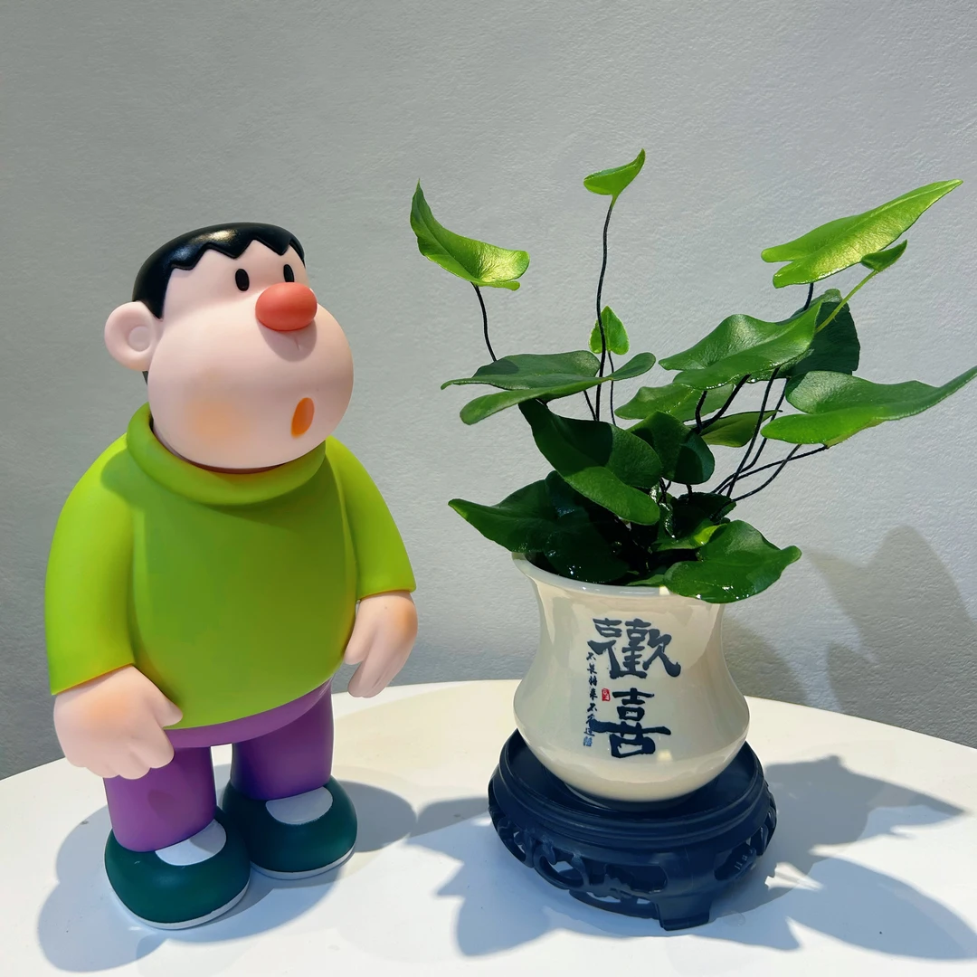 【心愿蕨】室内精致盆栽茶宠桌面花卉绿植四季常青水培