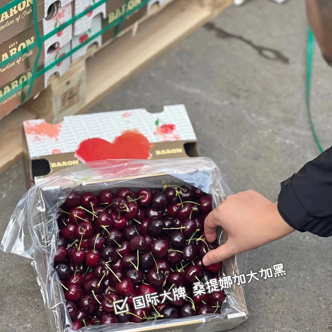 《宋大叔严选》智利车厘子 桑提娜 2JD 又脆又甜