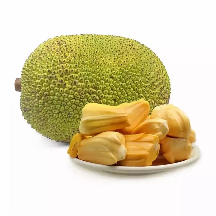 越南红肉菠萝蜜 干苞大黄肉 脆甜可口整果发货