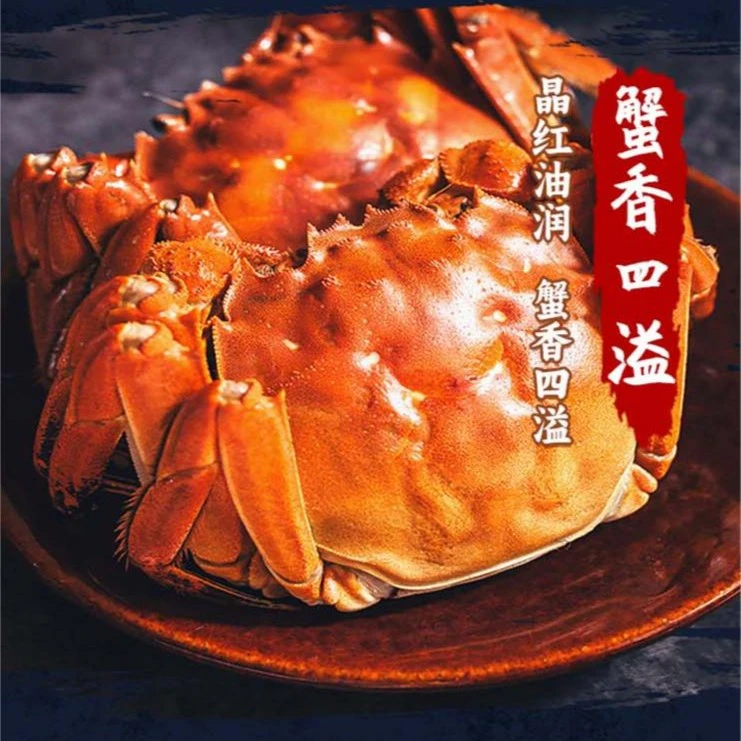 蟹思渝(公母搭配)固城湖大闸蟹公蟹2.9-3.1两/只母蟹2.4-2.6两/只