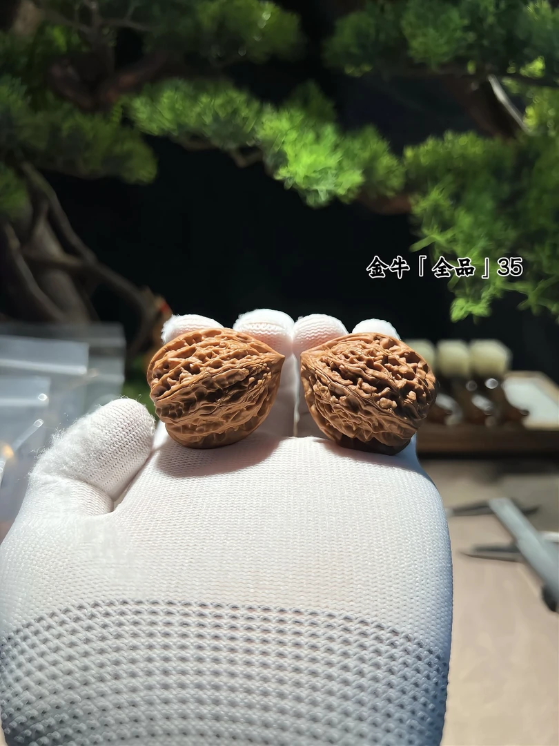 35全品金牛文玩核桃