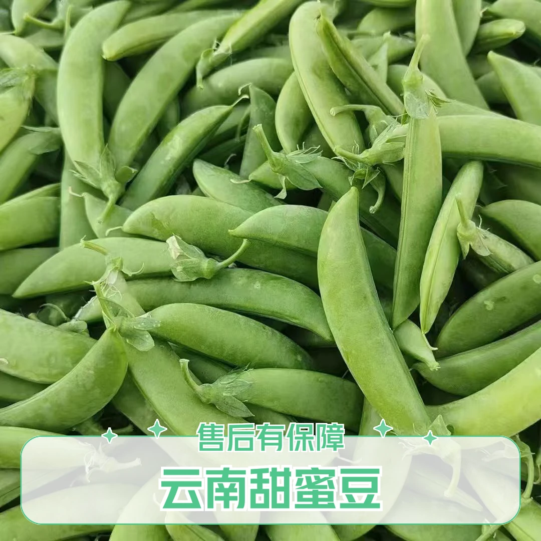 正宗甜豆甜蜜豆带壳食用甜豆荚甜脆嫩农家自种现摘现发云南蔬菜