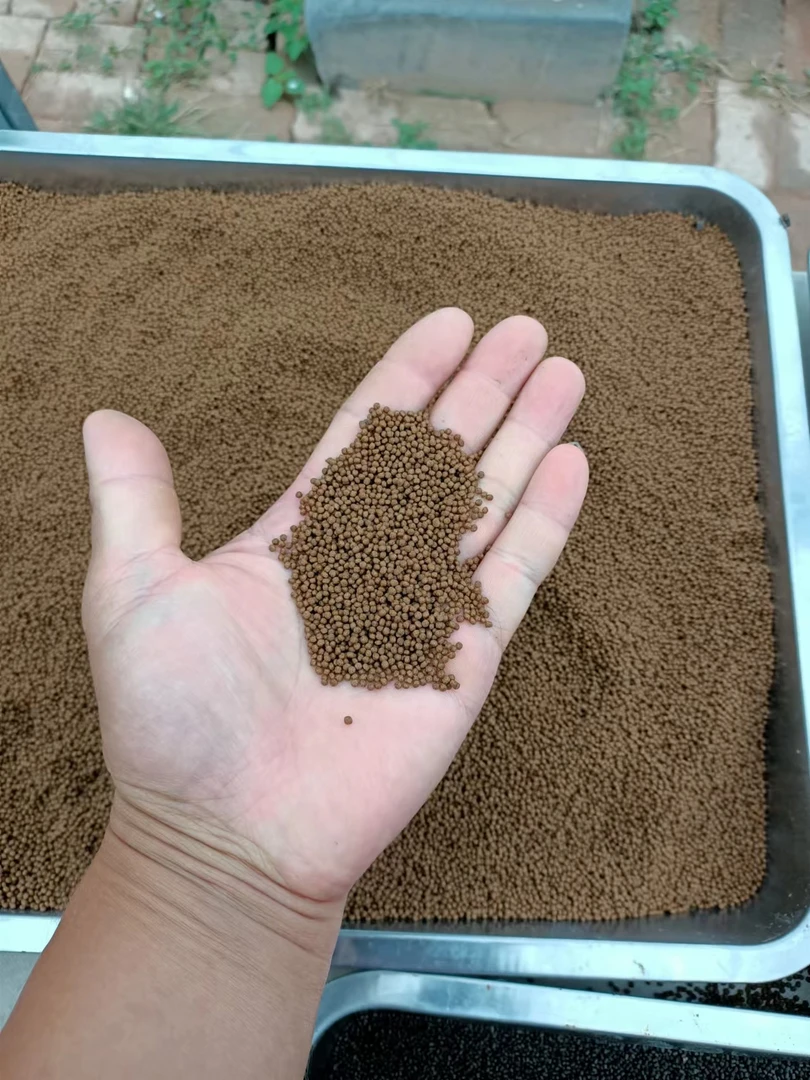 文博传统金鱼场专用鱼食500克，48蛋白，不浑水！