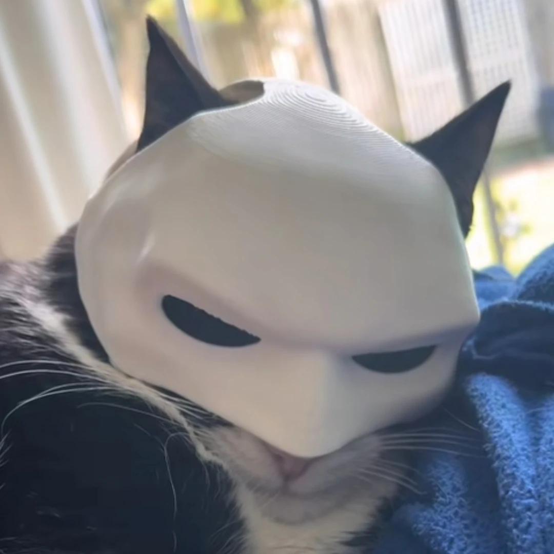 网红3d打印猫咪蝙蝠侠头盔面具猫猫狗狗搞笑头套头饰创意宠物面罩