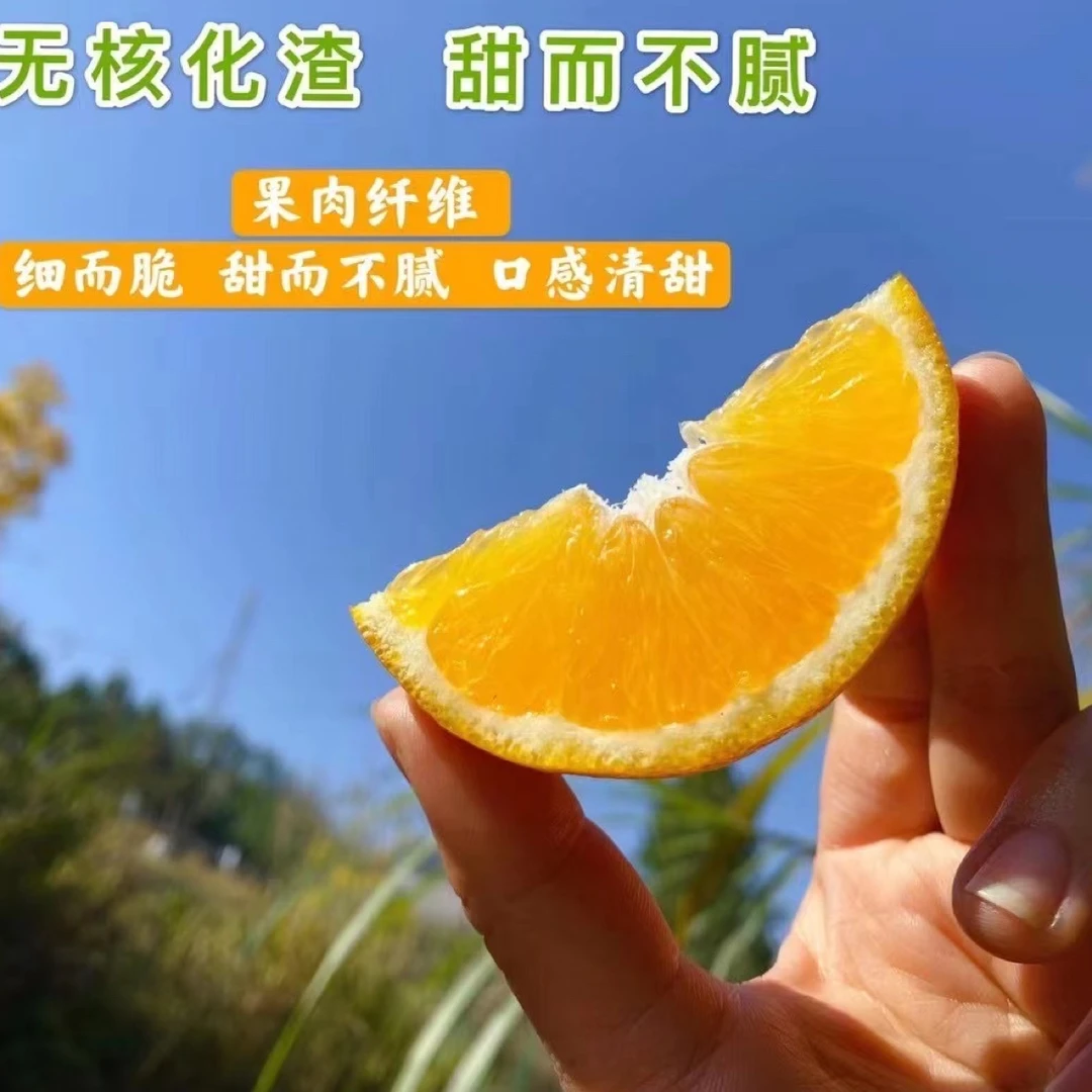 赣南早脐橙酸甜解腻5斤新鲜水果京东包邮