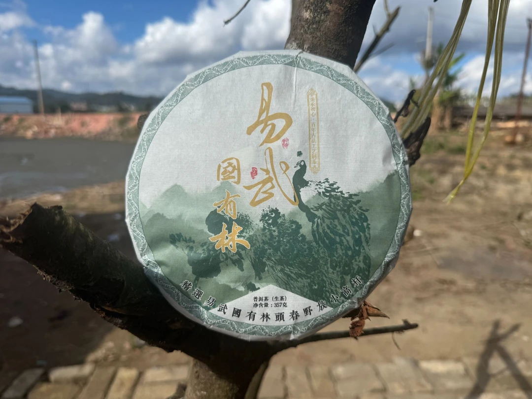 【高货福利】普洱生茶 易武国有林 2023年357克 回甘原产地包邮发货