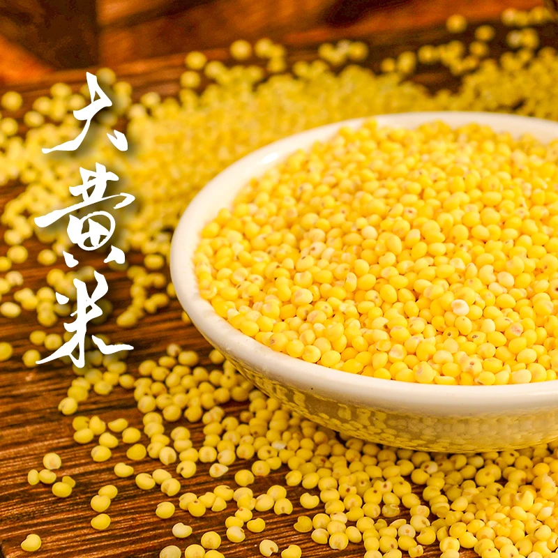 2025年敖汉端午节包粽子米大黄米5斤食用软糯黏糯颗粒饱满品质优