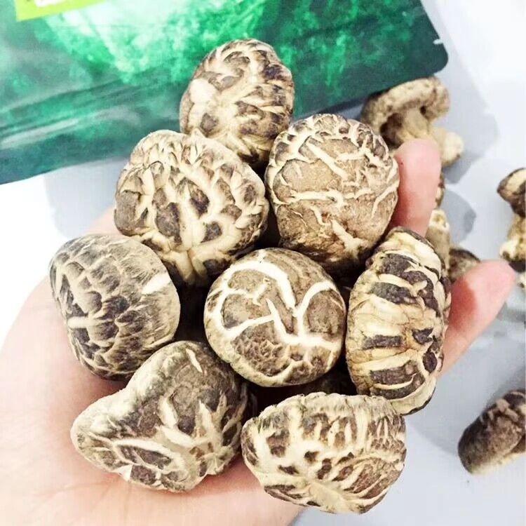 小花菇冬菇原椴木香蘑菇干货花菇肉厚无根炖汤煲粥爆炒搭配食材