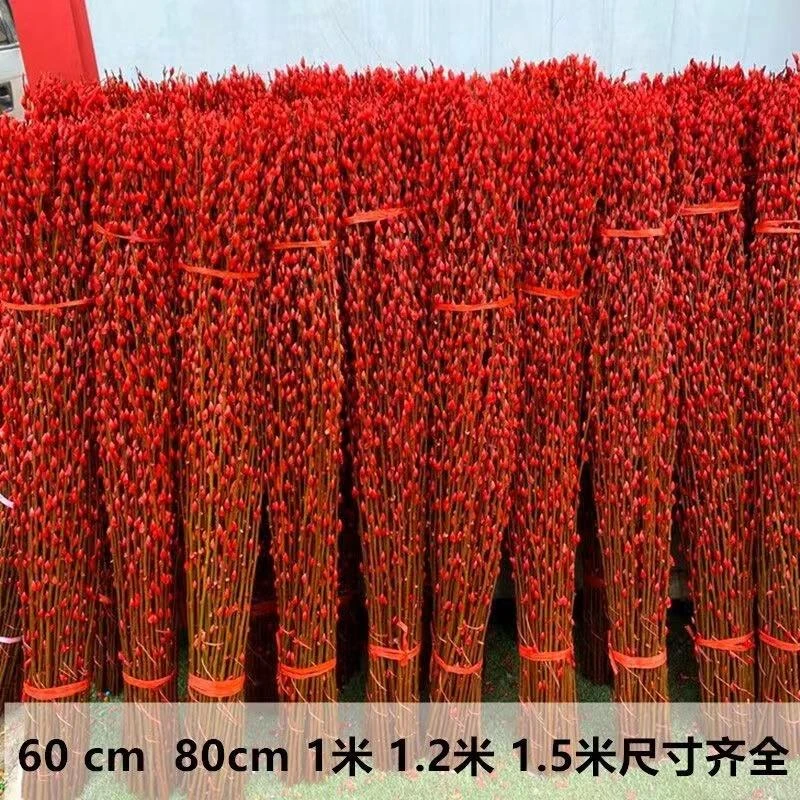 柳真花鲜枝年宵花卉红色干燥花福桶银柳水培植物鲜花客厅室内装饰