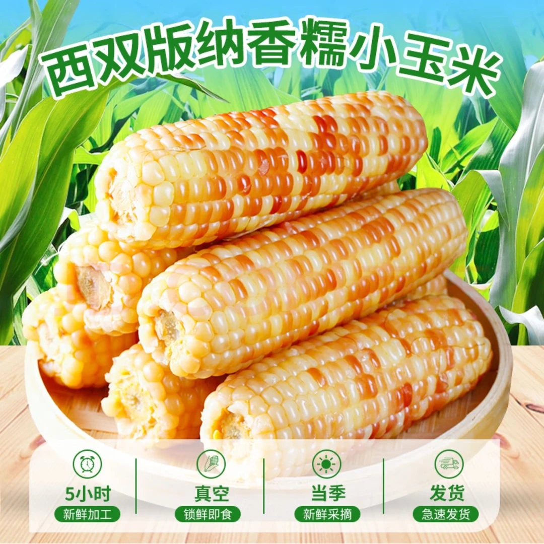 西双版纳自种花糯甜小玉米真空包装保持新鲜开袋即食口感鲜甜