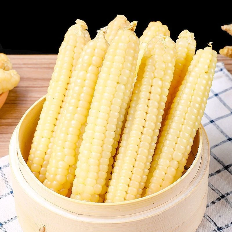 西双版纳白糯拇指小玉米新鲜香甜