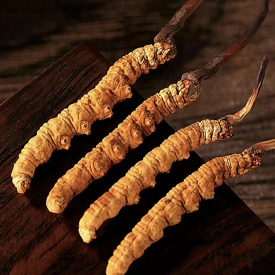 【藏地干虫草 】头茬干冬虫夏草 1克3根甄选泡酒中秋送礼佳品