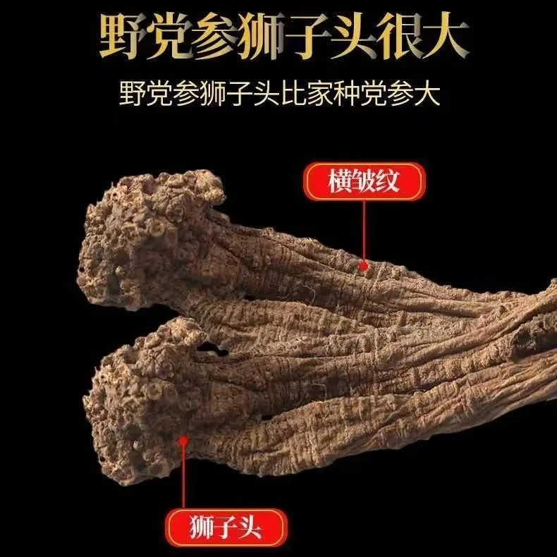 甘肃高原野生老党参自然晒干饱满