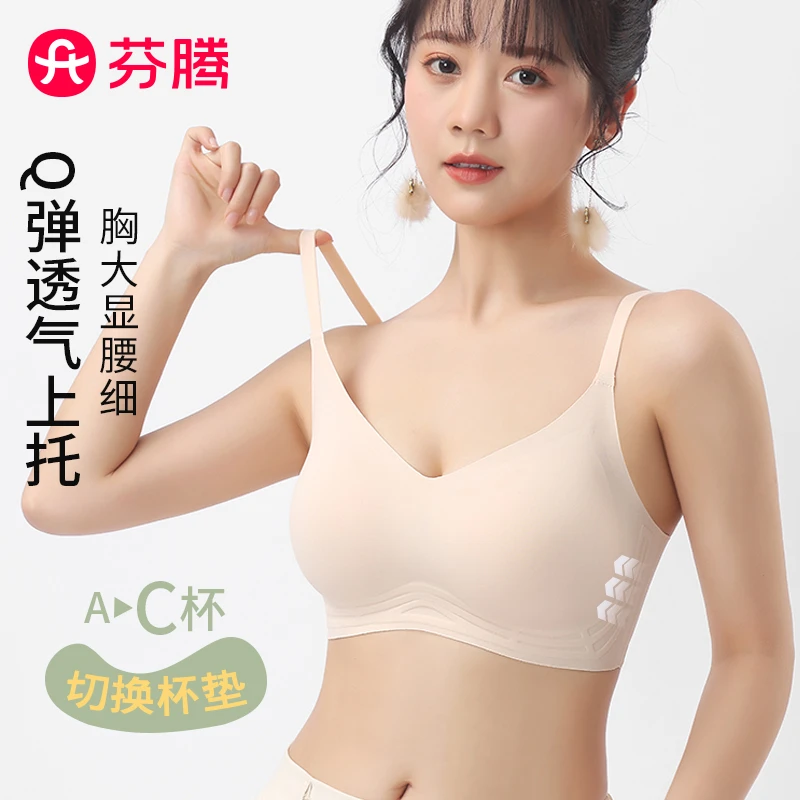 芬腾外扩漫画杯内衣背心聚拢文胸无痕无钢圈舒适美背胸罩2233