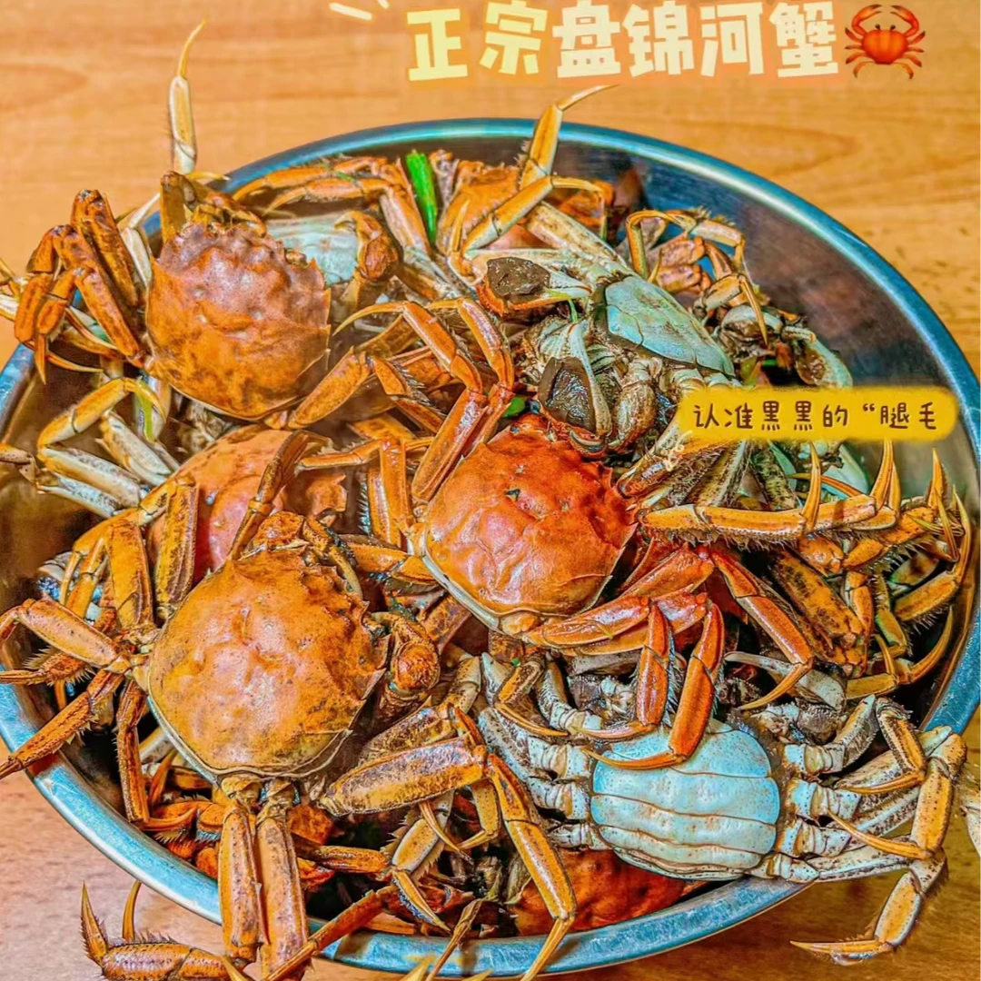盘锦河蟹1.4-1.7两15只 全母蟹顺丰包邮