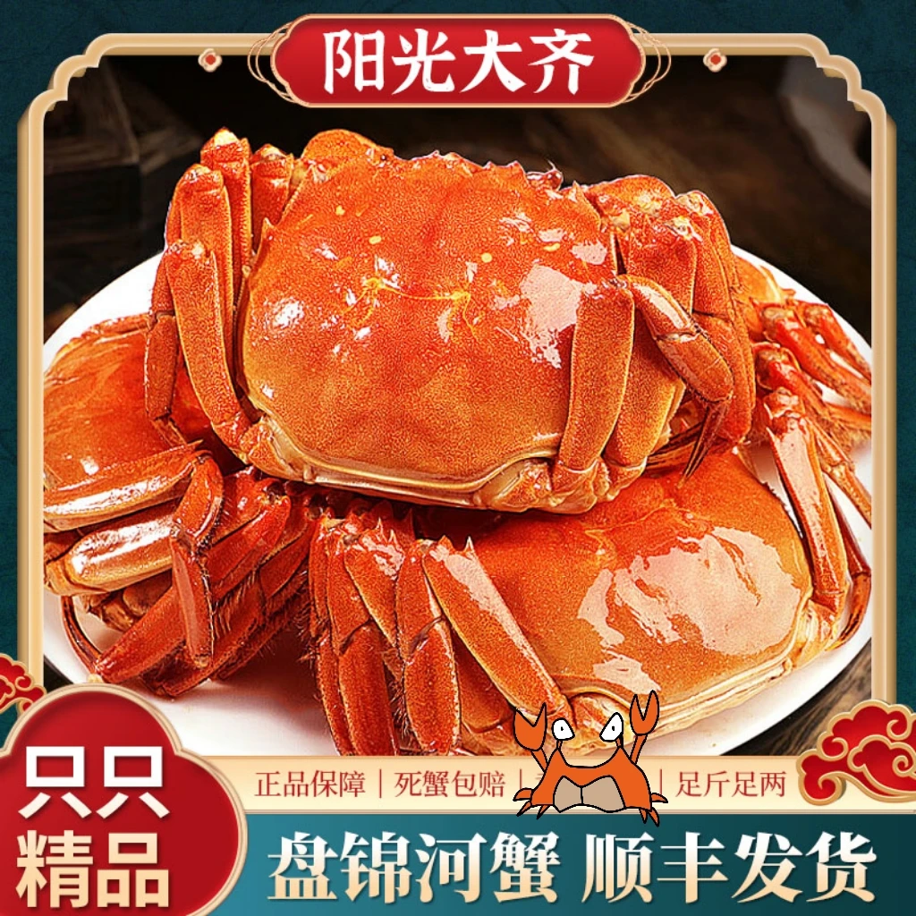 活蟹 盘锦河蟹稻田蟹 1.7-2.0两 10只全母蟹 顺丰包邮