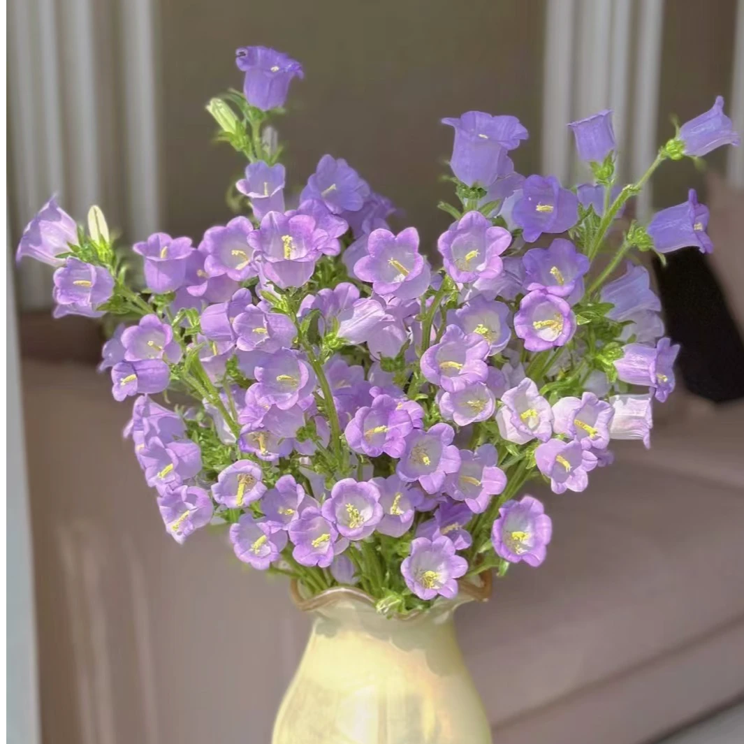 【中云花卉 风铃花】超长待机（注意：特殊花材一定记得带包装醒花）