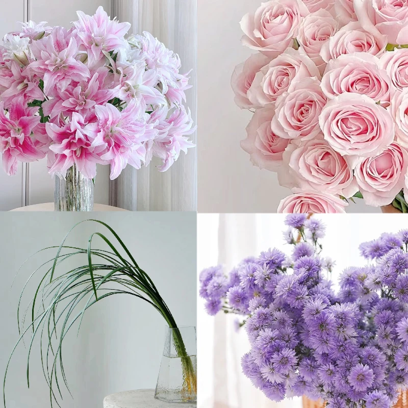 花公社伊莎贝拉套餐 家庭 咖啡店 前厅 顺丰冷链包邮 云南鲜花