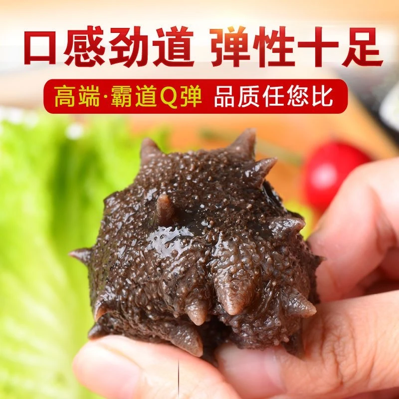8A 三斤装 大连即食海参 一斤8-15个头 鲜食即食海鲜