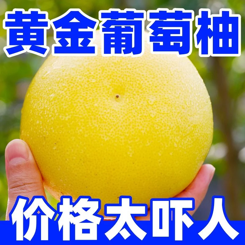 福建黄金葡萄柚新鲜西柚爆汁翡翠葡萄柚孕妇水果纯甜皮薄整箱包邮