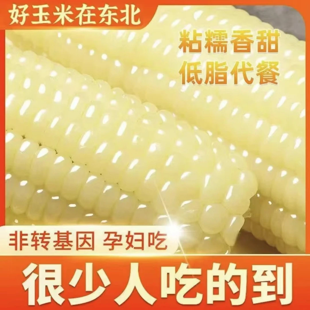 【整箱十根】5斤 正宗甜糯东北黏玉米黑土地东北大棒营养健康