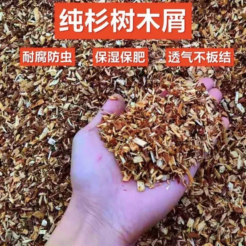 兰花专用营养土杉木屑爆根配送  5.8斤