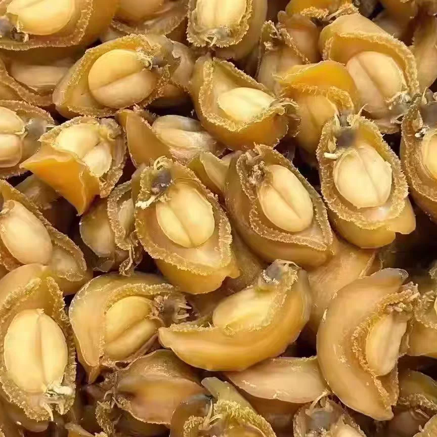 14-15头吉品鲍 大连鲍鱼干