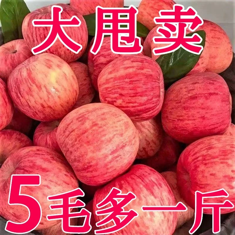 【现摘现发】正宗红富士苹果1/10斤头茬脆甜冰糖心当季新鲜孕妇水