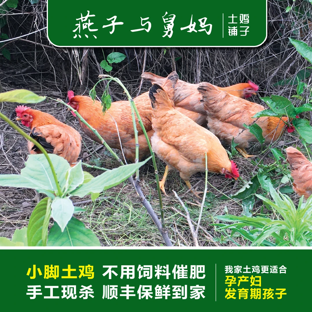 【2只土鸡实惠装】更适合孕产妇发育期孩子的土鸡·现杀顺丰到家
