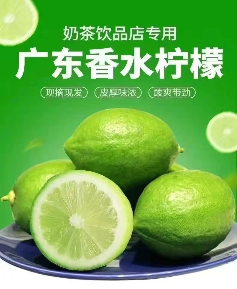 新鲜香水柠檬一级果清香清新无籽果香果园现采多汁绿色独立包装