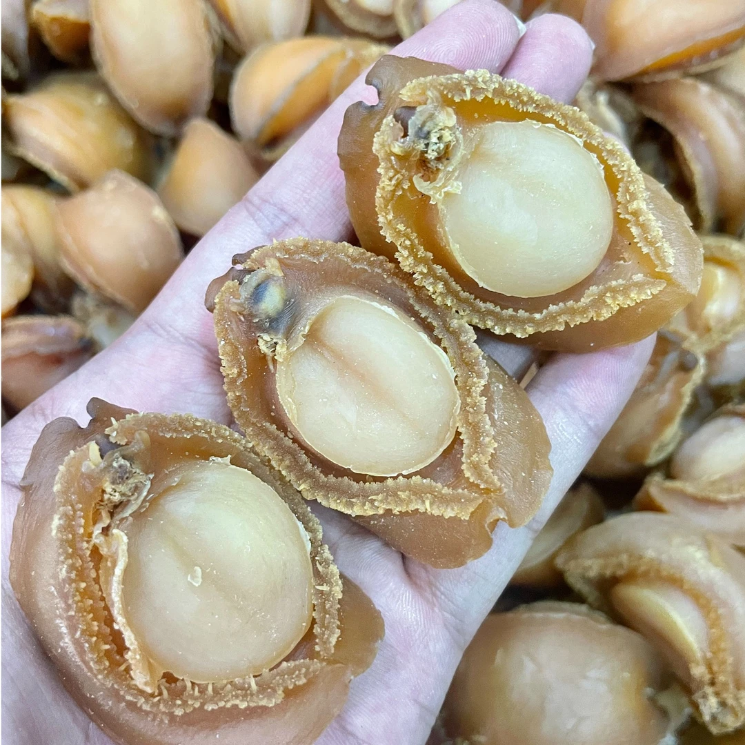 【燕子粤滋补】精选大连黄金吉品溏心鲍