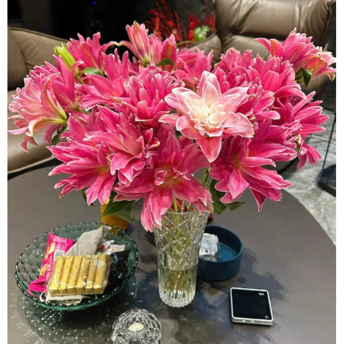 红美人 重瓣香水百合 两单升顺丰|京东|EMS