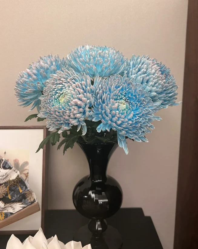 丰岛品牌牡丹菊 中式富贵花 两单升顺丰|京东|EMS