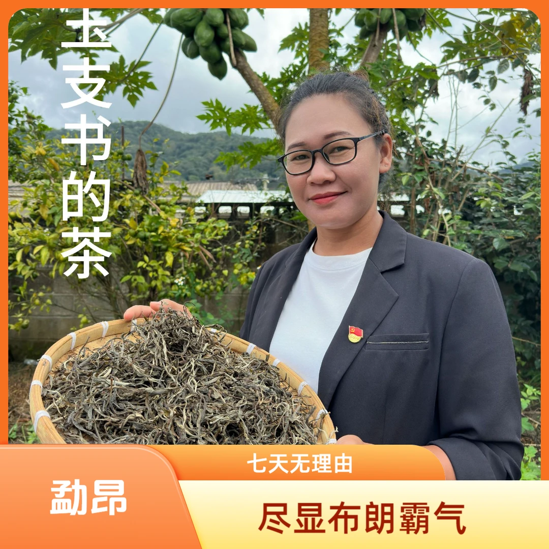 2024年头春古树挑采-布朗山勐昂村甜茶-生茶（玉书记推荐）
