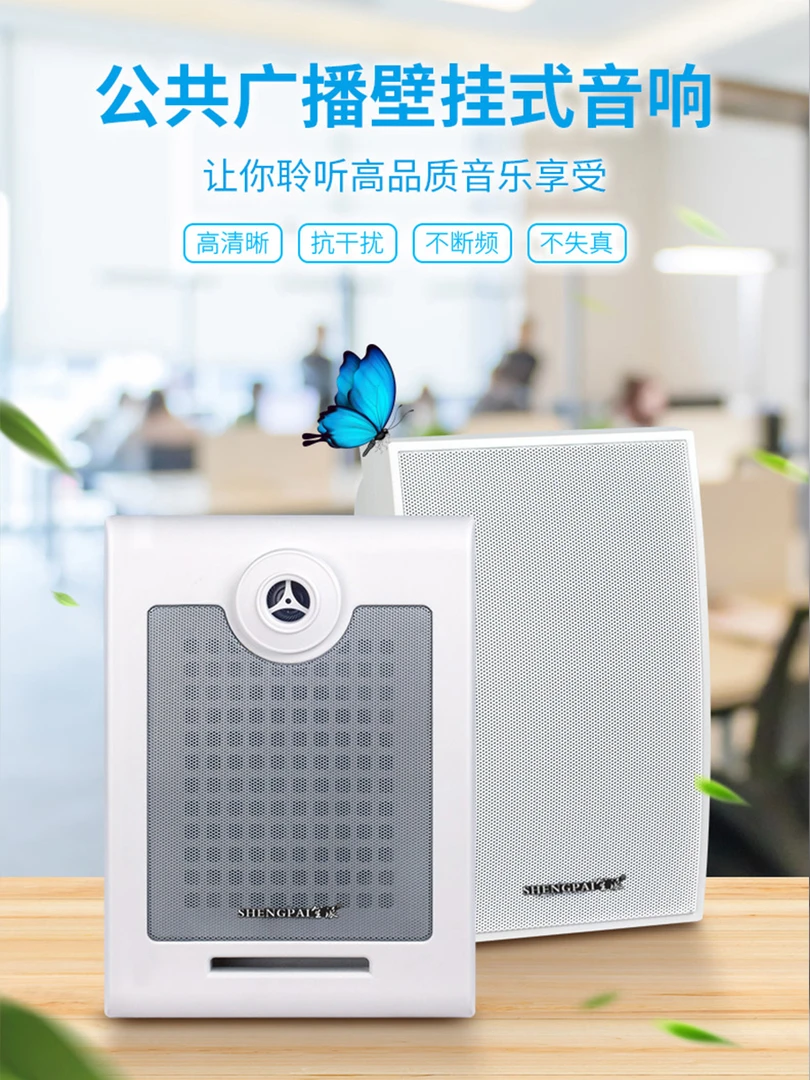SNSPAI笙派吸顶吊顶壁挂喇叭嵌入式天花定压公共广播背景音乐音箱
