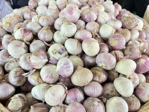 大理独蒜头 ，100克 味浓