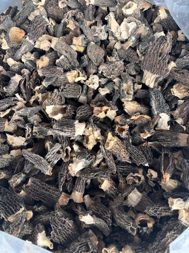 福利破损羊肚菌干货