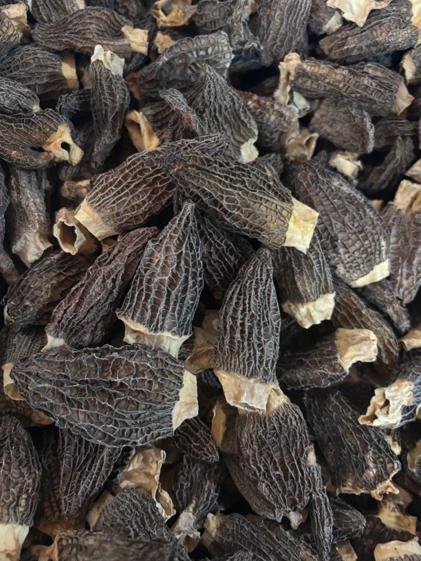 头茬密纹六妹824羊肚菌