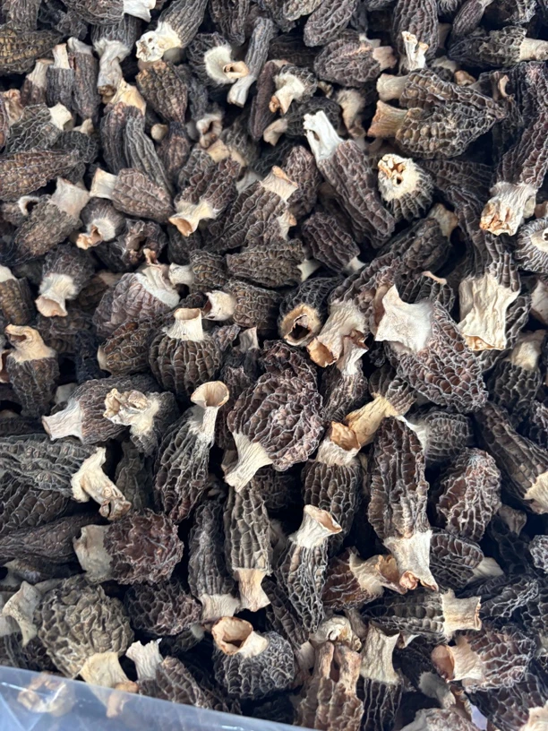 3-6六妹头茬羊肚菌干货