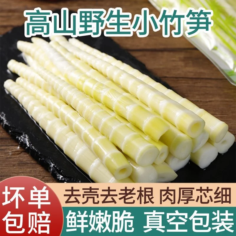 新鲜高山竹笋现发