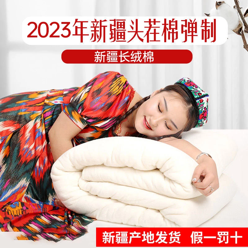 平价入冬11至16斤新疆棉花被子被芯冬被加厚褥子冬季床垫秋冬家居