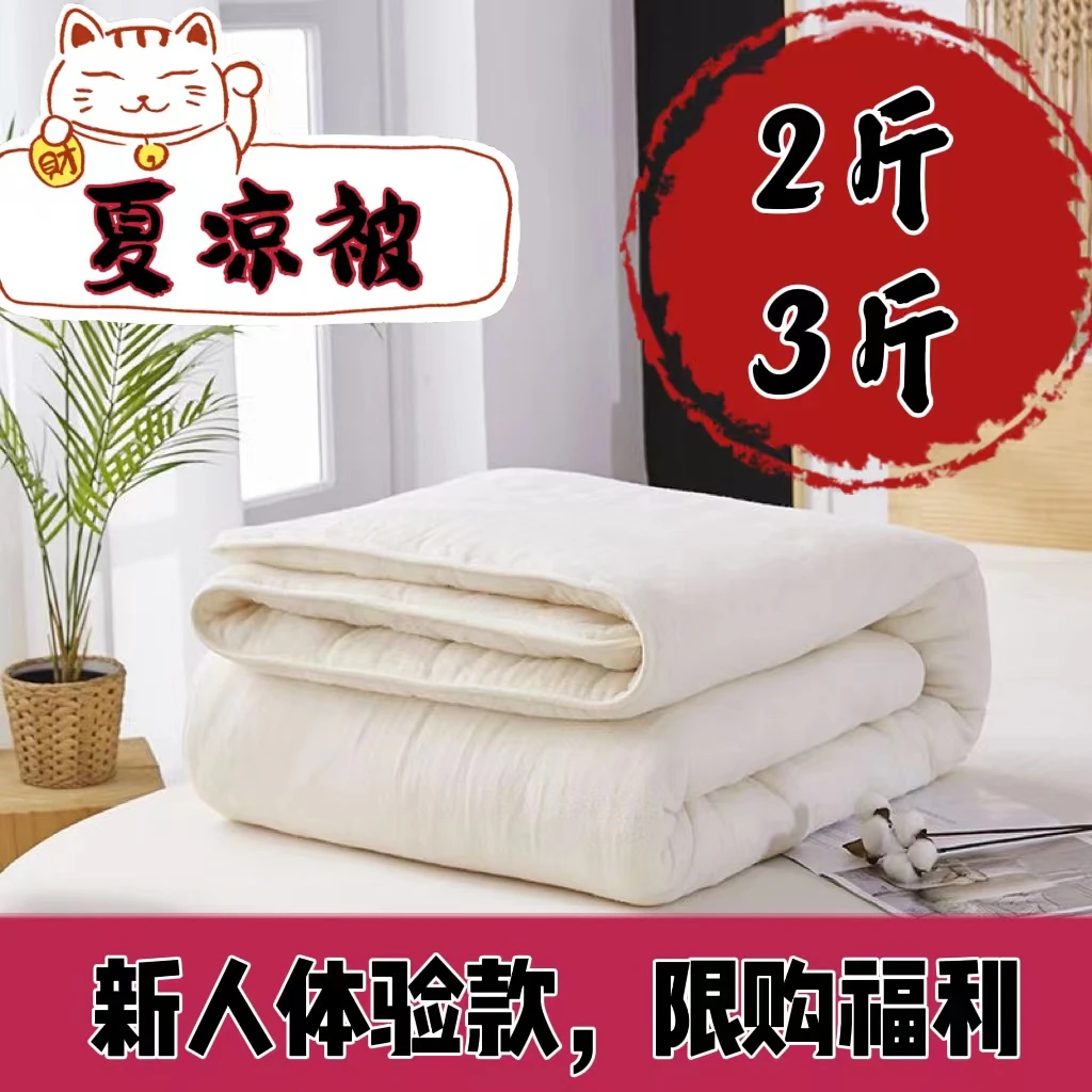 新人体验装 2斤3斤4斤 夏凉被空调被 新疆棉花被  棉花被棉被子