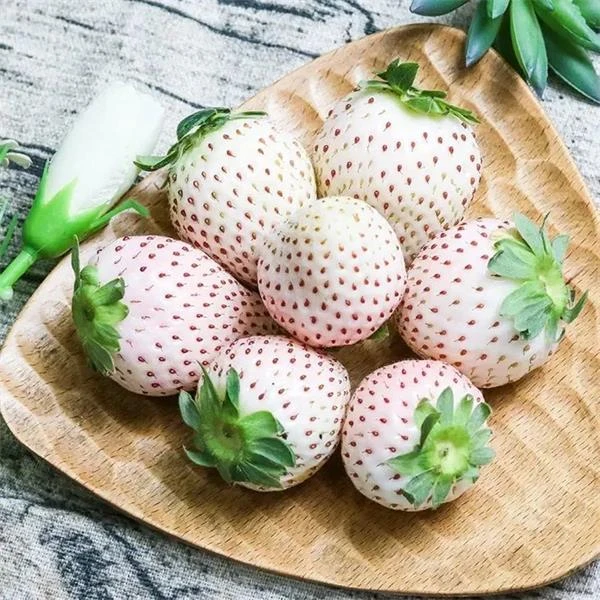 白雪公主草莓（中果）500克/份（山东）